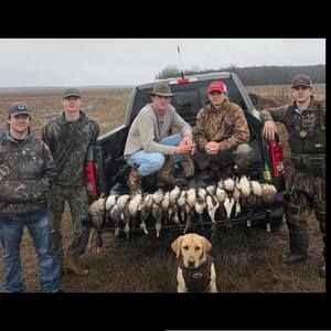 Meet your Posher, Harrison